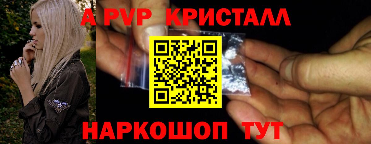 Пугачёв  A-PVP СК  A PVP СК КРИС  Вход с VPN  А ПВП крисы CK 