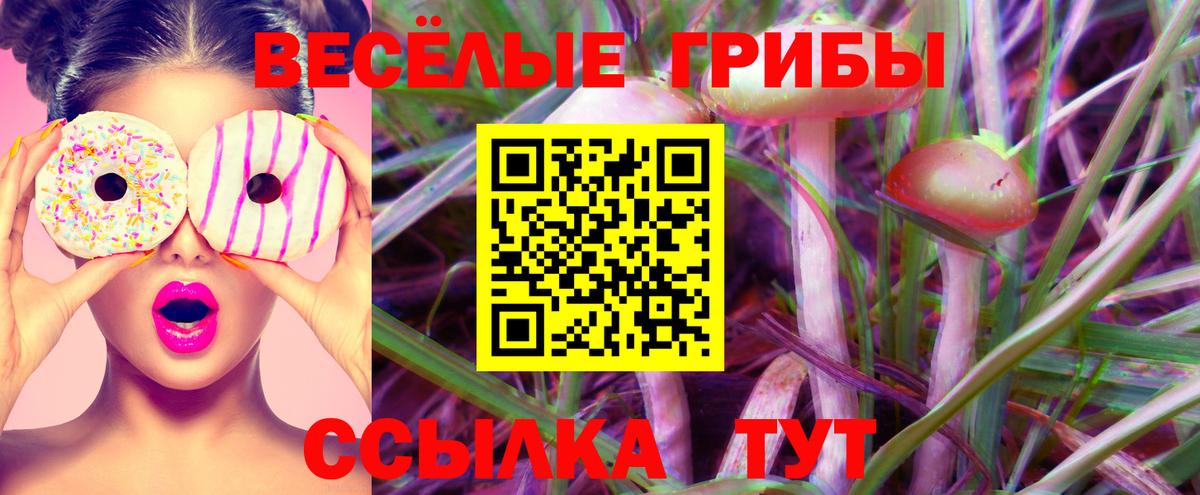 цена   Вход с VPN  Пугачёв  Галлюциногенные грибы Psilocybe 